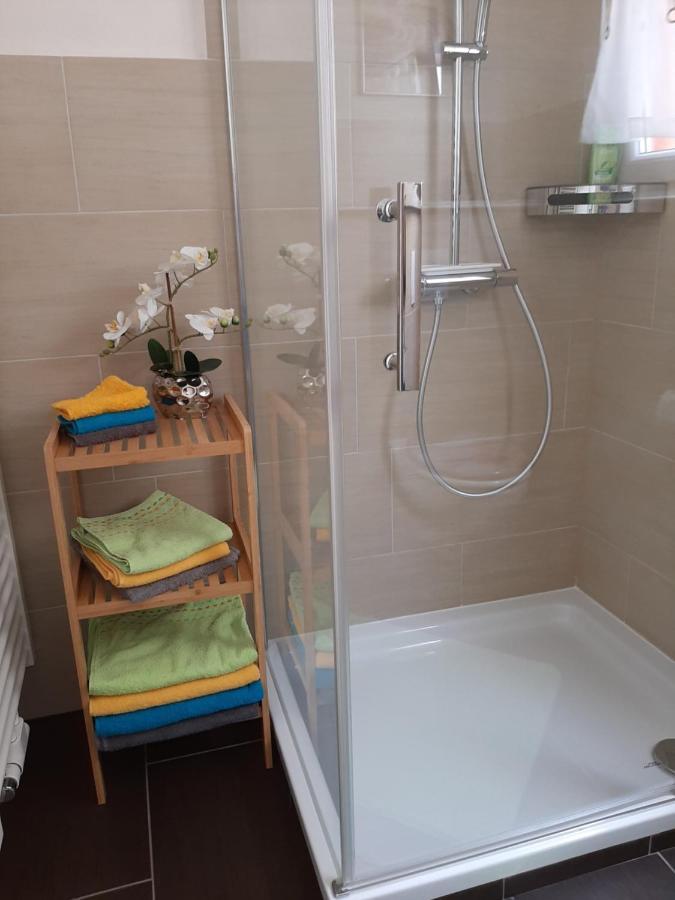 Ferienwohnung Wilfried 科布倫茨 外观 照片